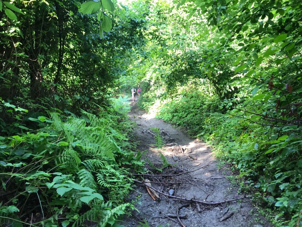 Bir Sonraki Yarışım Sapanca Ultra&nbsp;Maratonu