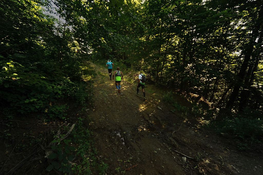 Sapanca Ultra NG Orman Koşusu Zamanı&nbsp;Geldi