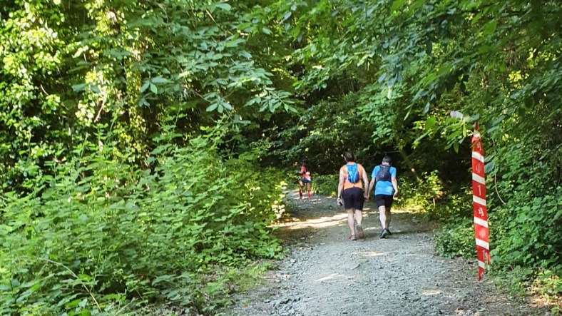 Sapanca Ultra Trail Maratonu 40K 2021