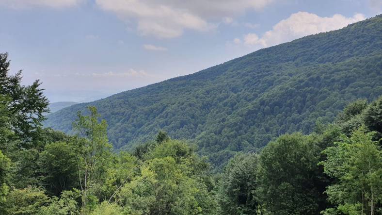 Sapanca Ultra Trail Maratonu 40K 2021